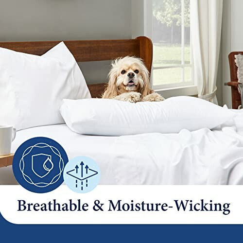 Dog lying on a bed with white pillows and bedding, promoting breathable and moisture-wicking features.