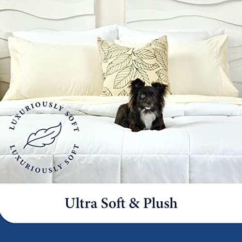 Small dog sitting on a plush, ultra-soft bed with decorative pillows.